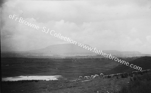 SLIGO KNOCKNAREA FROM REMAINS (DEERPARK REMANIS)